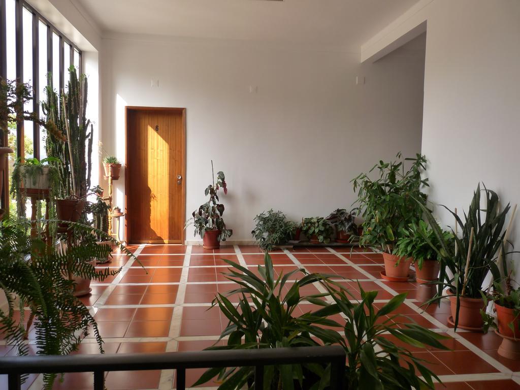 Hotel Residencial O Bras à Alvaiázere Extérieur photo